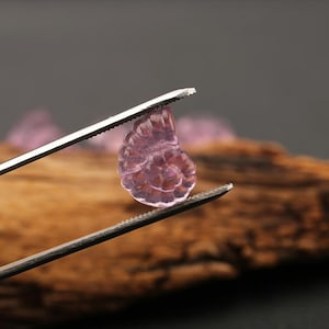 Carved Fluorite Conch Shape Pendant Bead, Clean Gemstone Pendant, Top Drilled Gemstone, Unique Gift 17x13x6.6mm, 2.4g - YS1