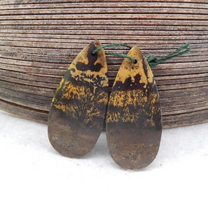 Scenic Chohua Jasper Earring Pair, Landscape Pattern U-Shape Drilled Stones, Natural Grass Flower Jasper Arch Cabochons, Unique Matched Pair