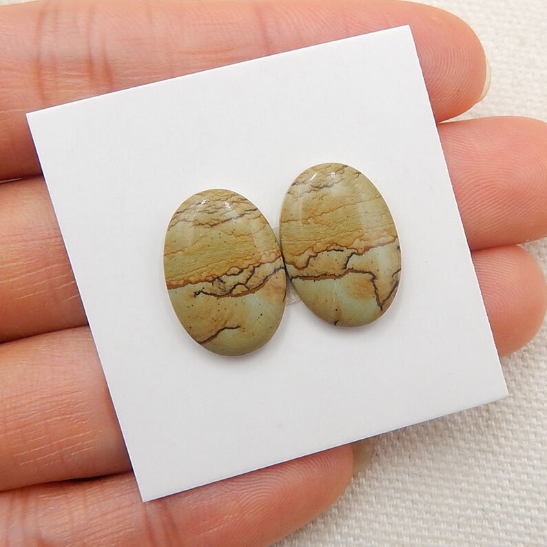Natural Gemstone US Biggs Picture Jasper Cabochon Pair New 17x12x3mm 1.8g Y5947