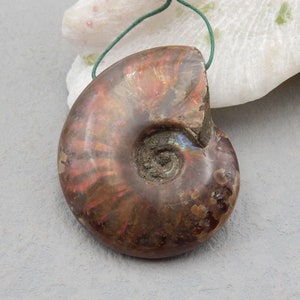Natural Flash Ammonite Fossil Gemstone Pendant Bead, Drilled Gemstone Pendant, Handmade Jewelry, 54x47x15mm, 49g - SS3275