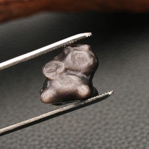 Peut inclure: Une petite figurine d'ours brun foncé tenue par une pince argentée. L'ours a des traits arrondis et une surface lisse. La pince est mise au point, avec un arrière-plan flou.