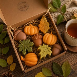 Pode incluir: Uma caixa de presente de papelão contendo ceras aromáticas sortidas em formato de abóboras laranja, bolotas marrons e folhas de bordo verdes. A tampa interna apresenta um logotipo circular com o texto Handmade Velvet Glow Creations.