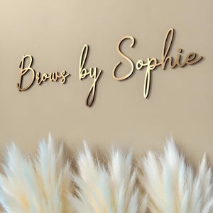 Peut inclure: Panneau en bois doré avec l'inscription "Brows by Sophie" en écriture cursive élégante. Le panneau est fixé sur un mur de couleur neutre, avec un arrangement de plantes douces et plumeuses en bas. Pour un salon de beauté.