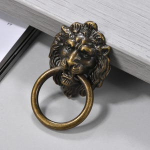 May include: A bronze lion head door knocker with a ring in its mouth. The lion's face has detailed features, including a mane and open mouth. The knocker is mounted on a light grey surface.