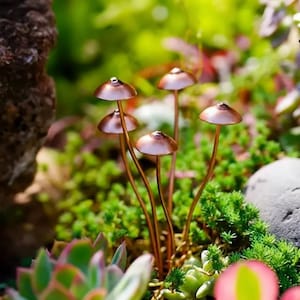 May include: Close-up of a miniature garden scene featuring several copper-colored mushroom sculptures. The mushrooms have rounded caps and slender stems, set amidst a variety of green plants and succulents. The scene is bathed in natural light.