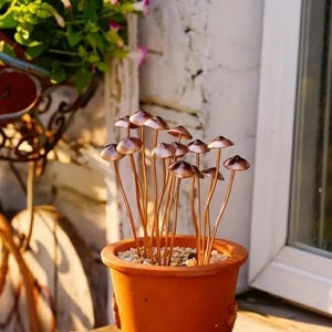 May include: An orange terracotta pot filled with small, copper-colored mushroom sculptures. The mushrooms have slender stems and rounded caps. The pot sits on a wooden surface, with a white brick wall and a window in the background. A decorative garden accent.