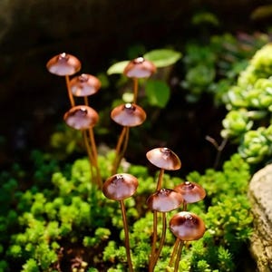 May include: A cluster of miniature copper-colored mushroom sculptures with rounded caps and slender stems, emerging from a bed of vibrant green moss. The mushrooms have a reflective surface, catching the light. The scene evokes a natural, whimsical aesthetic.
