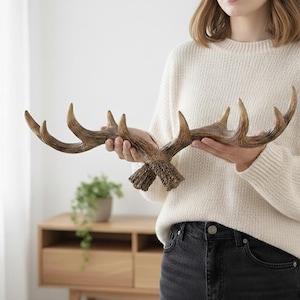 Puede incluir: Un cuerno decorativo, de color marrón natural con detalles texturizados. El cuerno se sostiene frente a un fondo neutro, mostrando su diseño rústico. Adecuado para la decoración del hogar.