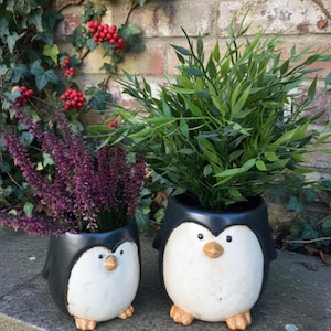 Puede incluir: Dos macetas de cerámica con forma de pingüino, una más pequeña que la otra, cada una con vegetación y flores moradas. Las macetas son negras y blancas con picos y patas naranjas. Se encuentran sobre una superficie de piedra contra una pared de ladrillo.