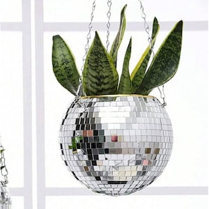 May include: A hanging disco ball planter with a silver mirrored surface, filled with green and yellow snake plants. The planter is suspended by a silver chain, adding a touch of retro flair to any space.