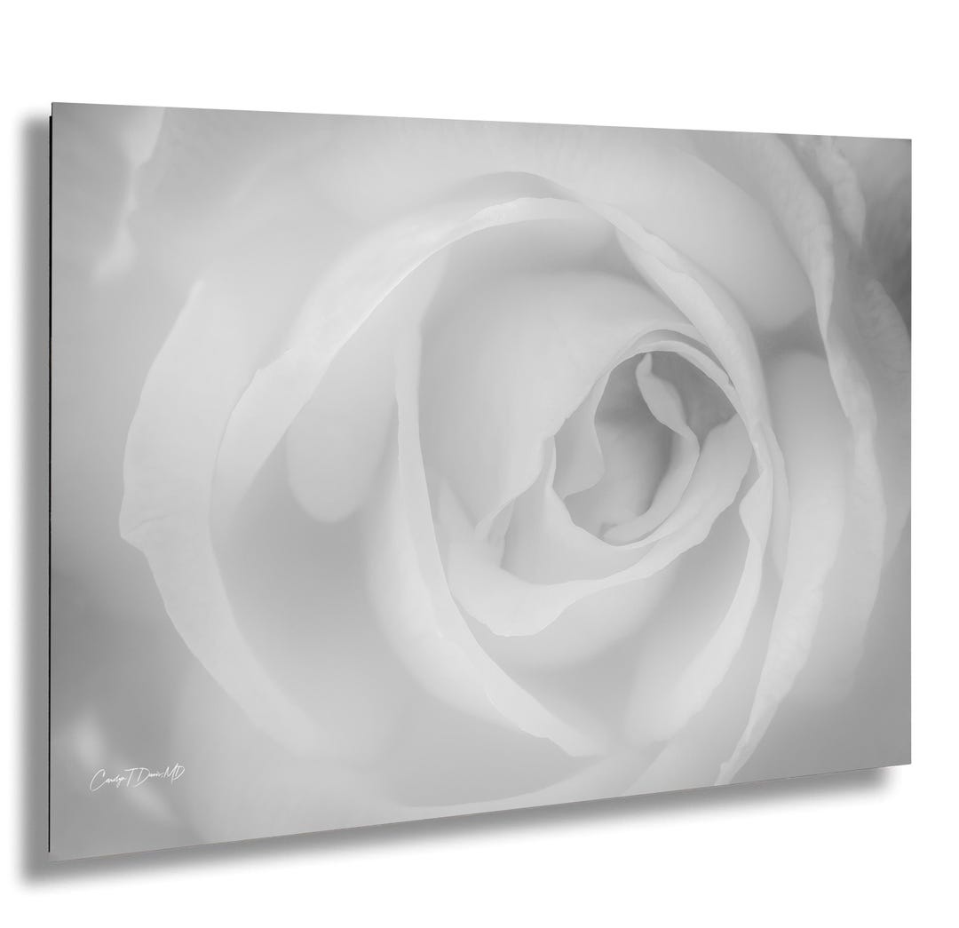 Soft Black and White Rose Wall Art | Minimalist Floral Print ...