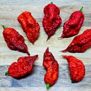 May include: Seven bright red, wrinkled chili peppers with green stems are arranged on a light brown wooden surface. The peppers have a unique, irregular shape and a vibrant, glossy appearance. The image showcases the peppers' texture and color.