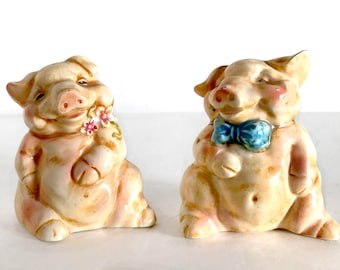 Vintage Pig Salt and Pepper Shakers - Retro Kitchen Decor