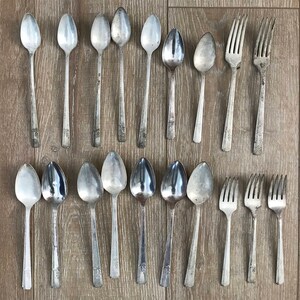 Vintage Floral Prestige Silverware Lot of 19 Pieces