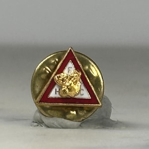 Loyal Order of Moose Pins - Etsy