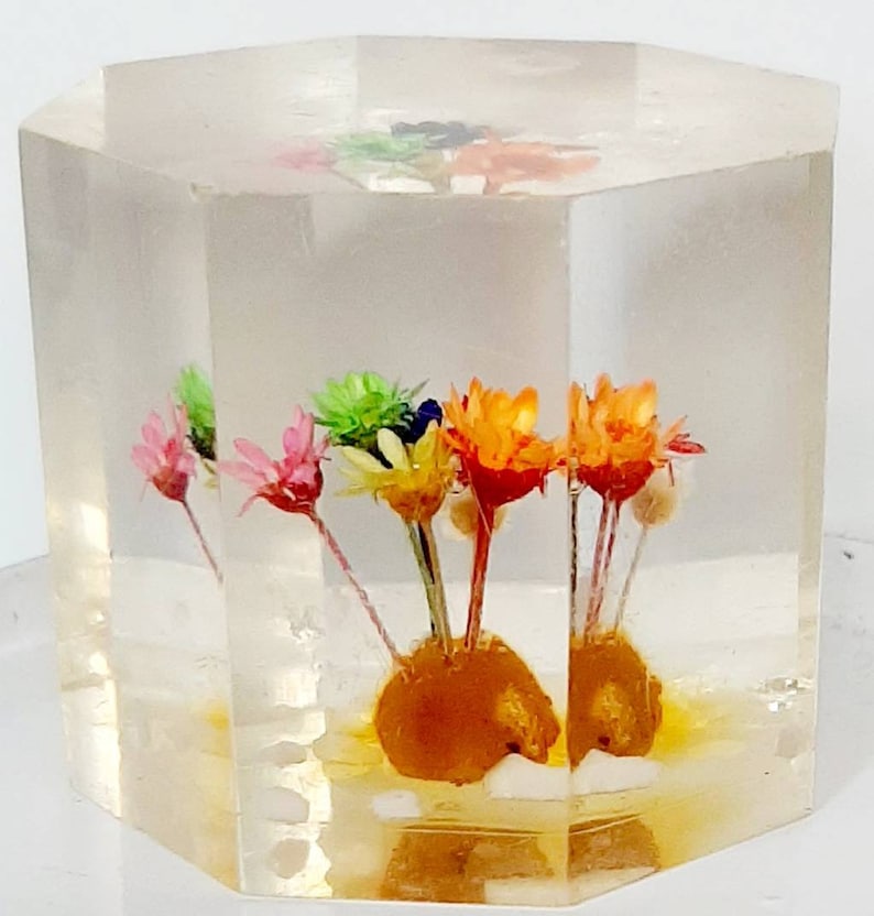 Vintage Dried Flower Resin Lucite Paperweight Ornament Octagon Etsy
