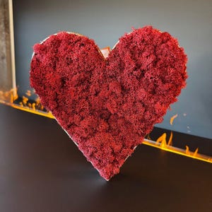May include: A heart-shaped decorative piece covered in vibrant red moss. The moss is densely packed, creating a textured surface. The piece is set against a dark background, with the logo "DIMOSA" visible at the bottom.