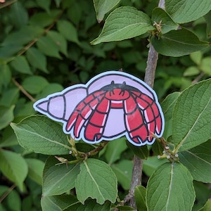 Hermit Crab Vinyl Sticker – Waterproof Decal in 2&quot;, 3&quot;, or 4&quot; Sizes