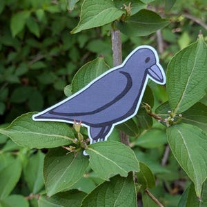 Crow Vinyl Sticker – Cute Cartoon Bird Decal in 2&quot;, 3&quot;, or 4&quot; Sizes