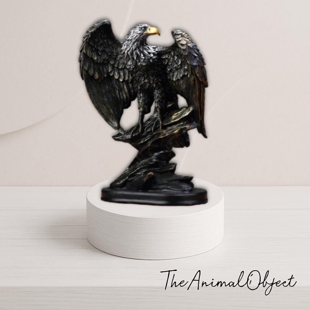 hebben jullie papegaaien-eigenaren contact gehad met roofvogels?? :  r/parrots, image size:1000x1000