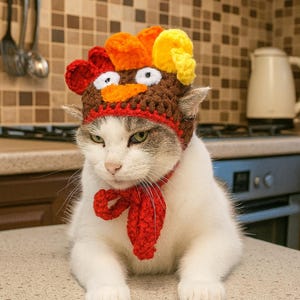 Puede incluir: Un gato blanco y gris con un sombrero de pavo de ganchillo hecho a mano con detalles en rojo, naranja y amarillo. El gato también lleva una bufanda roja de ganchillo. El gato está sentado en una encimera.