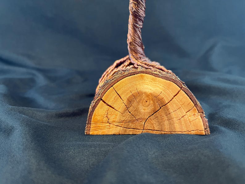 Puede incluir: Una escultura decorativa con una base de madera semicircular con vetas y bordes de corteza visibles. Una estructura de alambre trenzado de color marr&oacute;n oscuro se extiende hacia arriba desde el centro de la parte superior plana de la madera.