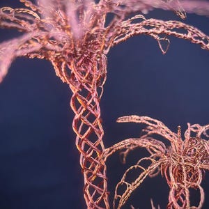 May include: A sculpture of two palm trees crafted from thin, intertwined copper-colored wire. The trunks feature a lattice-like woven pattern, while the fronds are formed by delicate, looping wire strands that extend outward from the top.