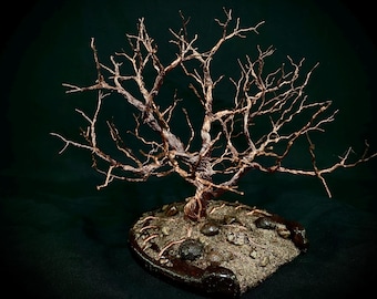 Utah Juniper Wire Tree in Reclaimed Horseshoe – 7 Inch Desert Bonsai Sculpture