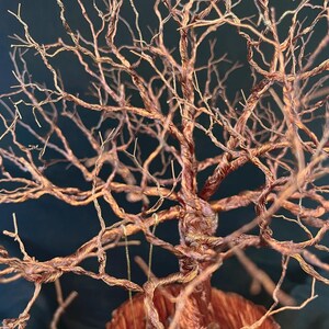 May include: A sculpture of a leafless tree crafted from twisted copper wire. The structure features a thick, braided trunk that branches out into numerous thin, intricate twigs extending in various directions, creating a dense canopy effect.