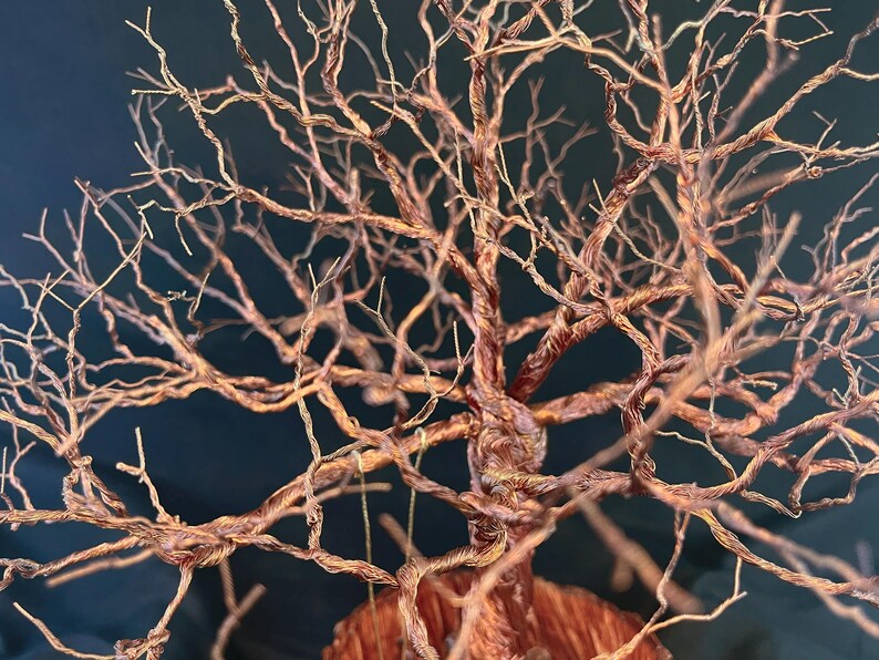 May include: A sculpture of a leafless tree crafted from twisted copper wire. The structure features a thick, braided trunk that branches out into numerous thin, intricate twigs extending in various directions, creating a dense canopy effect.