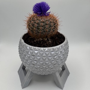 Könnte beinhalten: Ein kleiner, runder Kaktus mit rötlich-braunen Stacheln und einer leuchtend lila Blüte. Der Kaktus steht in einem grauen Topf mit geometrischem Muster, der auf einem passenden Ständer steht. Das Design ist modern und minimalistisch, geeignet für die Inneneinrichtung.