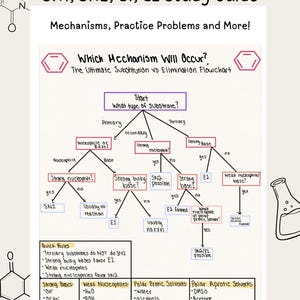 Peut inclure: Un guide d'étude pour les réactions SN1, SN2, E1 et E2. Le guide comprend un organigramme intitulé « Quel mécanisme se produira ? » avec des informations sur les substrats, les nucléophiles et les bases. Le guide comprend également des règles rapides et des listes de bases fortes, de nucléophiles faibles et de solvants.