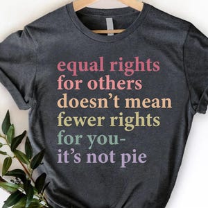 May include: Dark gray t-shirt with the text "equal rights for others doesn't mean fewer rights for you- it's not pie" in pink, yellow, and purple. The shirt is hanging on a wooden hanger.