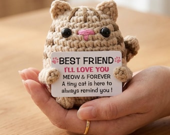 Handmade Crochet Emotional Support Cat, Best Friend Gift, Friendship Gift, Emotional Support Gift, Cute Desk Pet for Sister & BFF