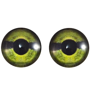 May include: Two green glass eyes with black pupils and a dark brown ring around the iris. The eyes are realistic and have a slightly menacing look.