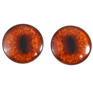 May include: Two brown glass eyes with a black pupil and a realistic iris pattern. These eyes are perfect for doll making, plush toys, or other craft projects.