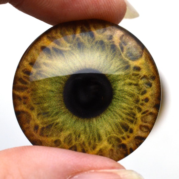 Hazel Human Glass Eyes Sizes 6mm to 40mm Jewelry Real Art Dolls Dark Taxidermy Sculpture Polymer Clay Eyeball Flatback Domed Green Cabochon
