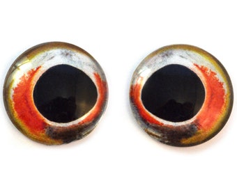 Fish Eyes Etsy