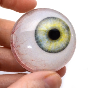May include: A realistic, round glass eye with a yellow and blue iris and a black pupil. The eye has red veins and is held by a person's fingers. The eye is a novelty item.