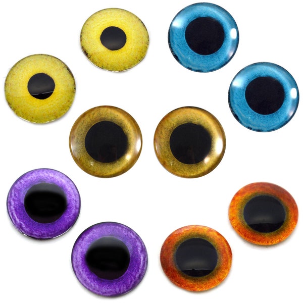 5 Pairs Bundle Owl Glass Eye Bird Animal Cabochons Set of 10 Eyes  - Bulk Wholesale Lot - Taxidermy Art Sculptures or Jewelry Making Supply