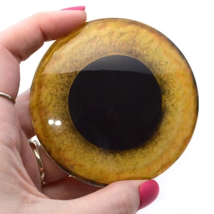 May include: A round, brown glass eye with a black pupil. The eye is designed for use in crafts and doll making.