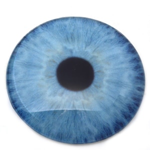 May include: A close-up of a blue eye with a black pupil. The eye is round and has a white background.