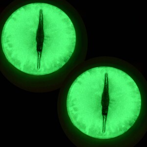 May include: Two green glow-in-the-dark eye stickers with a black vertical slit pupil in the center.
