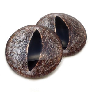 May include: Two brown and black realistic cat eyes with a black pupil and a gray iris. The eyes are round and have a glossy finish.