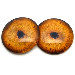 May include: Two round, glass eye cabochons with a detailed, realistic design. The eyes feature a warm, amber-brown iris with a dark, black pupil. The glass has a glossy finish, reflecting light.