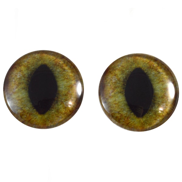 Realistic Green and Brown Cat Glass Eyes - 6mm to 40mm - Jewelry Making, Art Dolls, Taxidermy, Sculptures Eyeball Flatback Domed Magnify