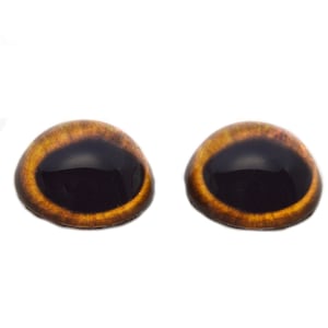 Puede incluir: Dos ojos de seguridad de plástico marrón con pupilas negras. Los ojos son redondos y tienen un acabado brillante.