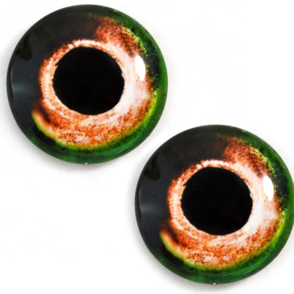 Orange and Green Fish Glass Eyes - Pick Your Size - for Jewelry Making Art Dolls Taxidermy Sculptures Eyeball Flatback Domed Circle Cabochon