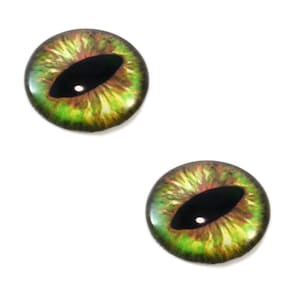 Könnte beinhalten: Zwei grüne und braune Glasaugen mit schwarzen Pupillen. Die Augen sind rund und haben ein realistisches Aussehen.