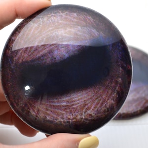 May include: A pair of large, round, purple and black glass eyes with a white iris. The eyes have a realistic, detailed texture.
